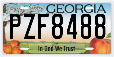 GA license plate PZF8488