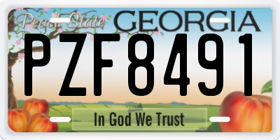 GA license plate PZF8491