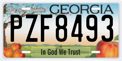 GA license plate PZF8493