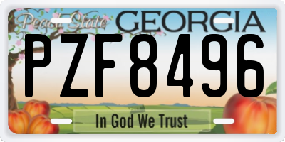 GA license plate PZF8496