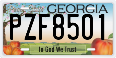 GA license plate PZF8501