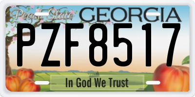 GA license plate PZF8517
