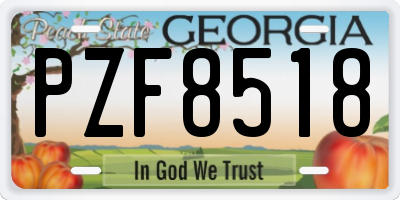 GA license plate PZF8518