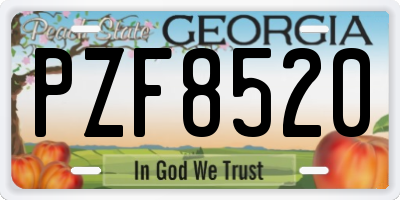 GA license plate PZF8520