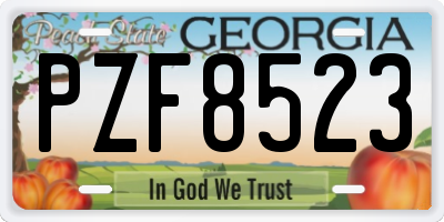 GA license plate PZF8523