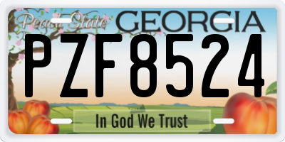 GA license plate PZF8524