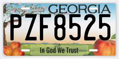 GA license plate PZF8525