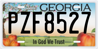 GA license plate PZF8527