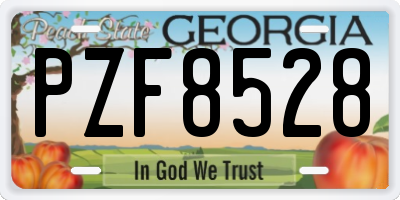GA license plate PZF8528