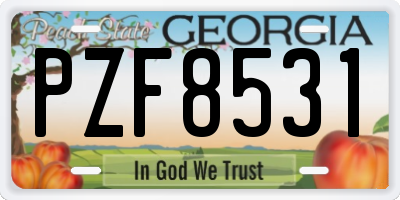 GA license plate PZF8531
