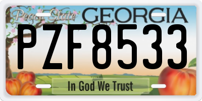 GA license plate PZF8533