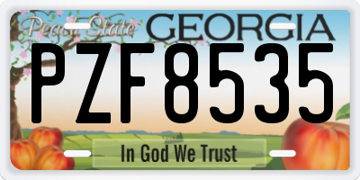 GA license plate PZF8535