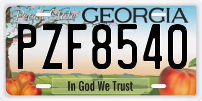 GA license plate PZF8540