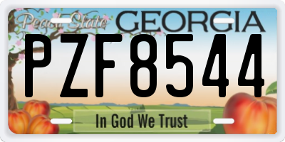 GA license plate PZF8544