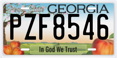 GA license plate PZF8546