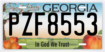 GA license plate PZF8553