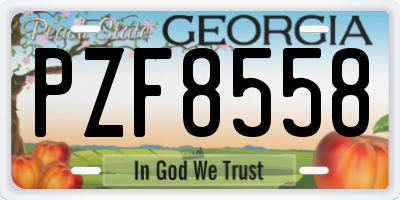 GA license plate PZF8558