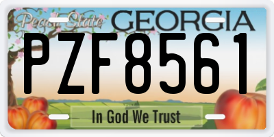 GA license plate PZF8561