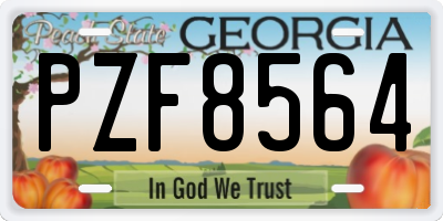 GA license plate PZF8564