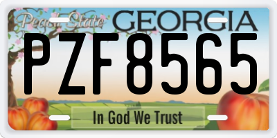 GA license plate PZF8565