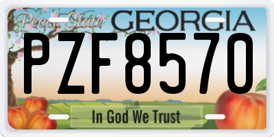 GA license plate PZF8570