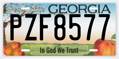 GA license plate PZF8577