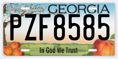 GA license plate PZF8585