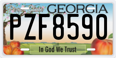 GA license plate PZF8590