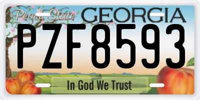 GA license plate PZF8593