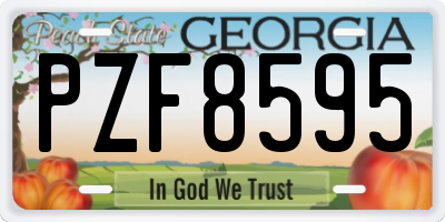 GA license plate PZF8595