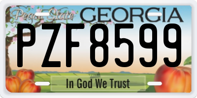 GA license plate PZF8599