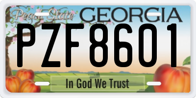 GA license plate PZF8601