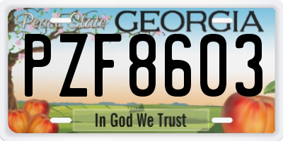 GA license plate PZF8603