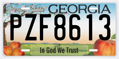 GA license plate PZF8613