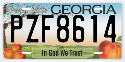 GA license plate PZF8614