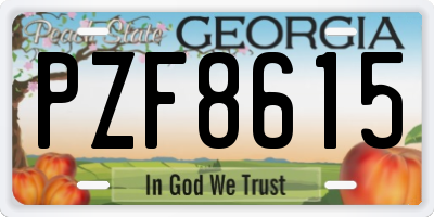 GA license plate PZF8615