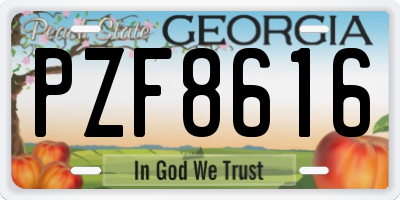 GA license plate PZF8616