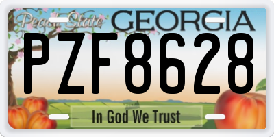 GA license plate PZF8628