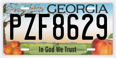 GA license plate PZF8629