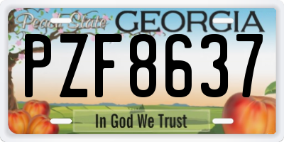 GA license plate PZF8637