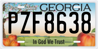 GA license plate PZF8638