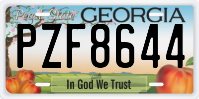 GA license plate PZF8644