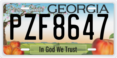 GA license plate PZF8647