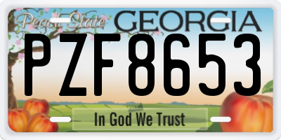 GA license plate PZF8653