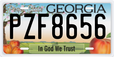 GA license plate PZF8656