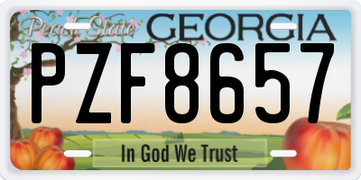 GA license plate PZF8657