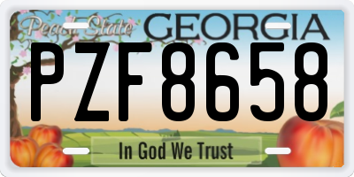 GA license plate PZF8658