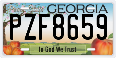 GA license plate PZF8659