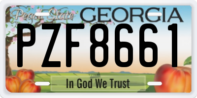 GA license plate PZF8661