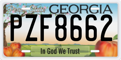 GA license plate PZF8662